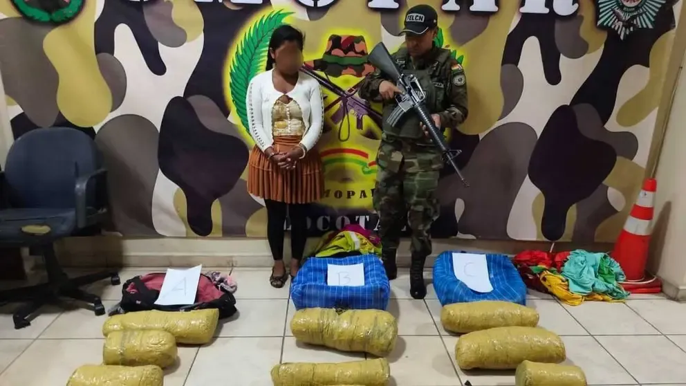 Felcn secuestra 12 paquetes de marihuana de un ómnibus rumbo a Santa Cruz y aprehende a una mujer Felcn secuestra 12 paquetes de marihuana de un ómnibus rumbo a Santa Cruz y aprehende a una mujer