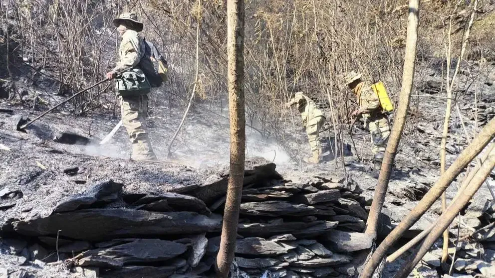 Controlan incendio forestal en Yanacachi, La Paz, tras identificar 30 focos de fuego