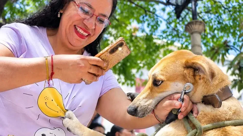 Salud lanza campaña nacional contra la rabia para este fin de semana con más de 3 millones de dosis gratuitas Salud lanza campaña nacional contra la rabia para este fin de semana con más de 3 millones de dosis gratuitas