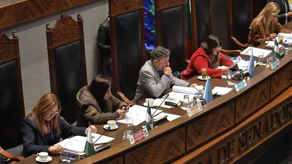 Senado aprueba crédito del BID destinado para el pago de la Renta Dignidad y lo remite al Ejecutivo