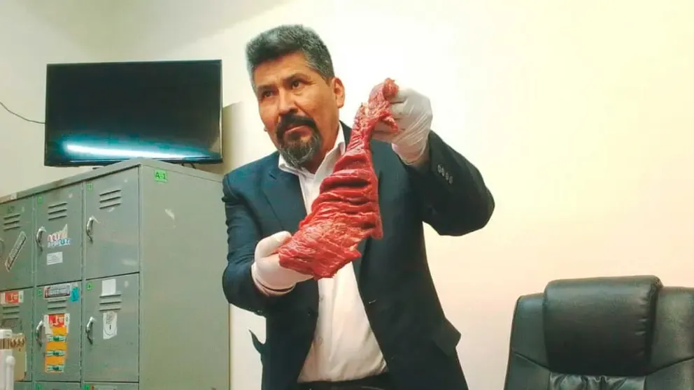Investigador promueve la regulación de la carne de burro y defiende su valor nutricional